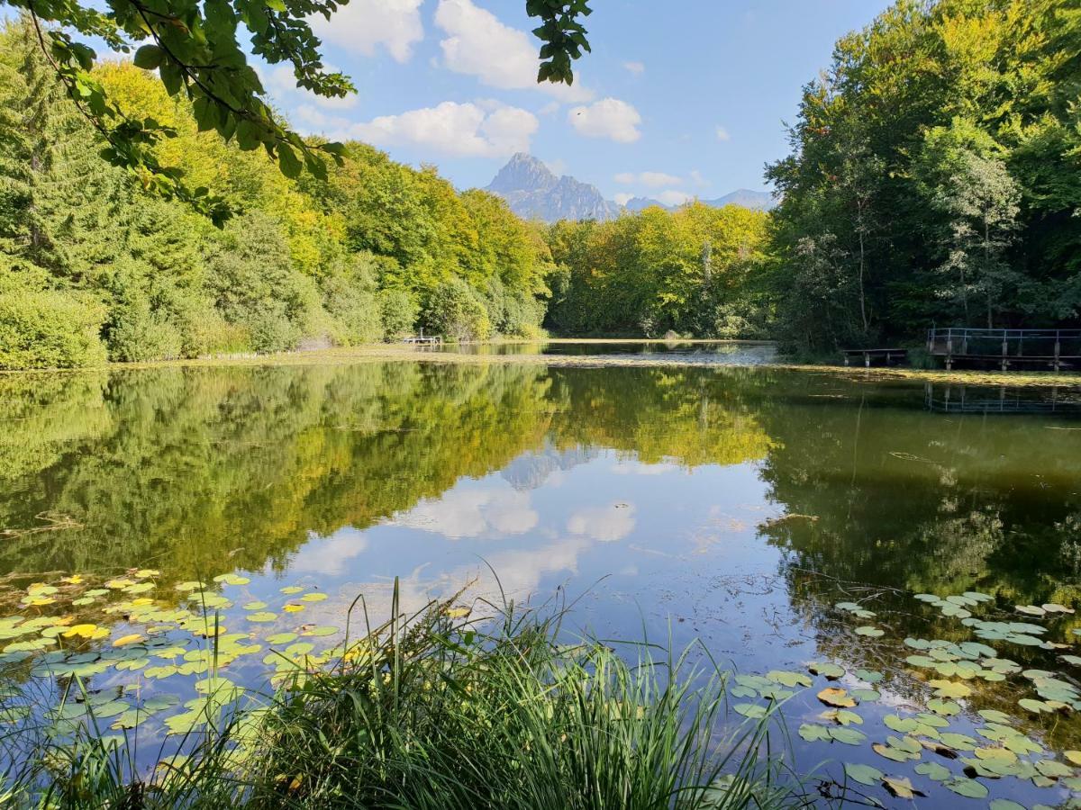Entre Lac Et Montagnes Bernex Eksteriør billede